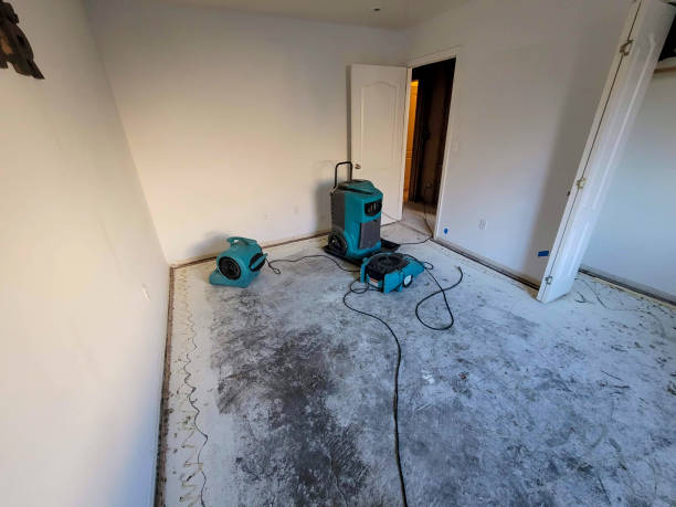  Thorsby, AL Water damage restoration Pros