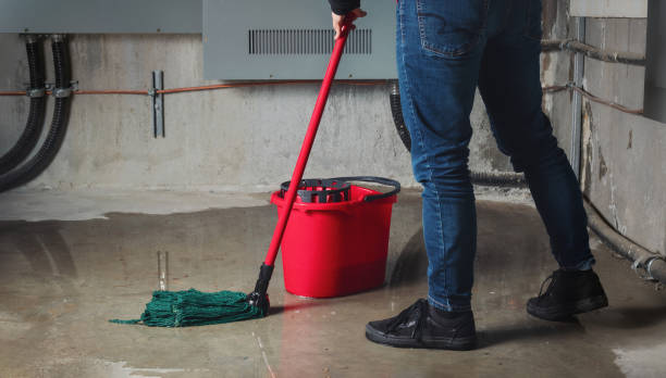 Best Water damage restoration mold remediation  in Thorsby, AL