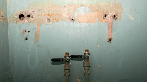 Best Water damage cleanup near me  in Thorsby, AL