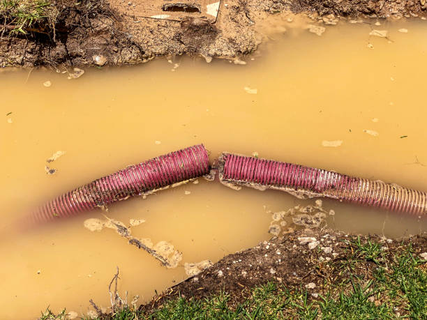 Best Flood restoration services  in Thorsby, AL